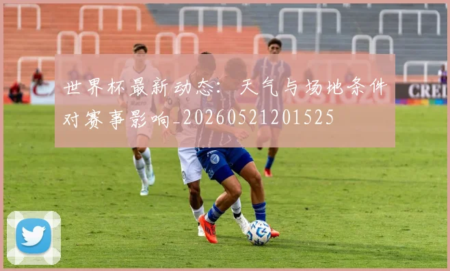 世界杯最新动态:天气与场地条件对赛事影响_20260521201525